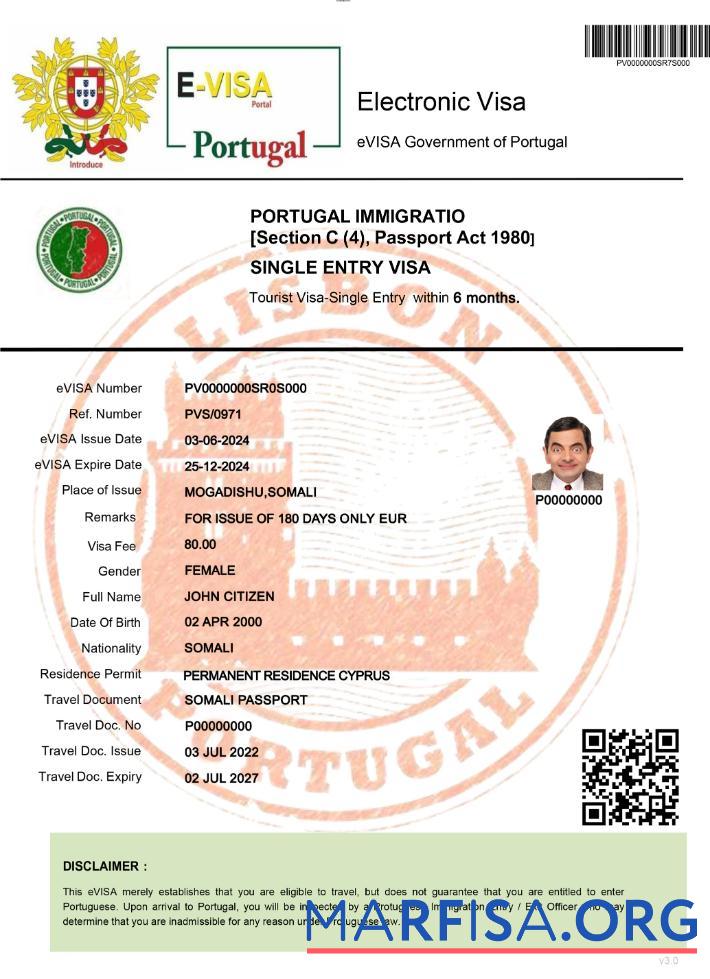 Blank Portugal electronic visa example